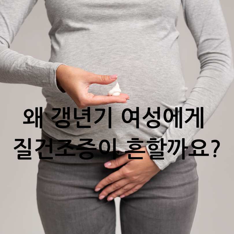 갱년기 여성의 질건조증