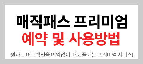 롯데월드 매직패스