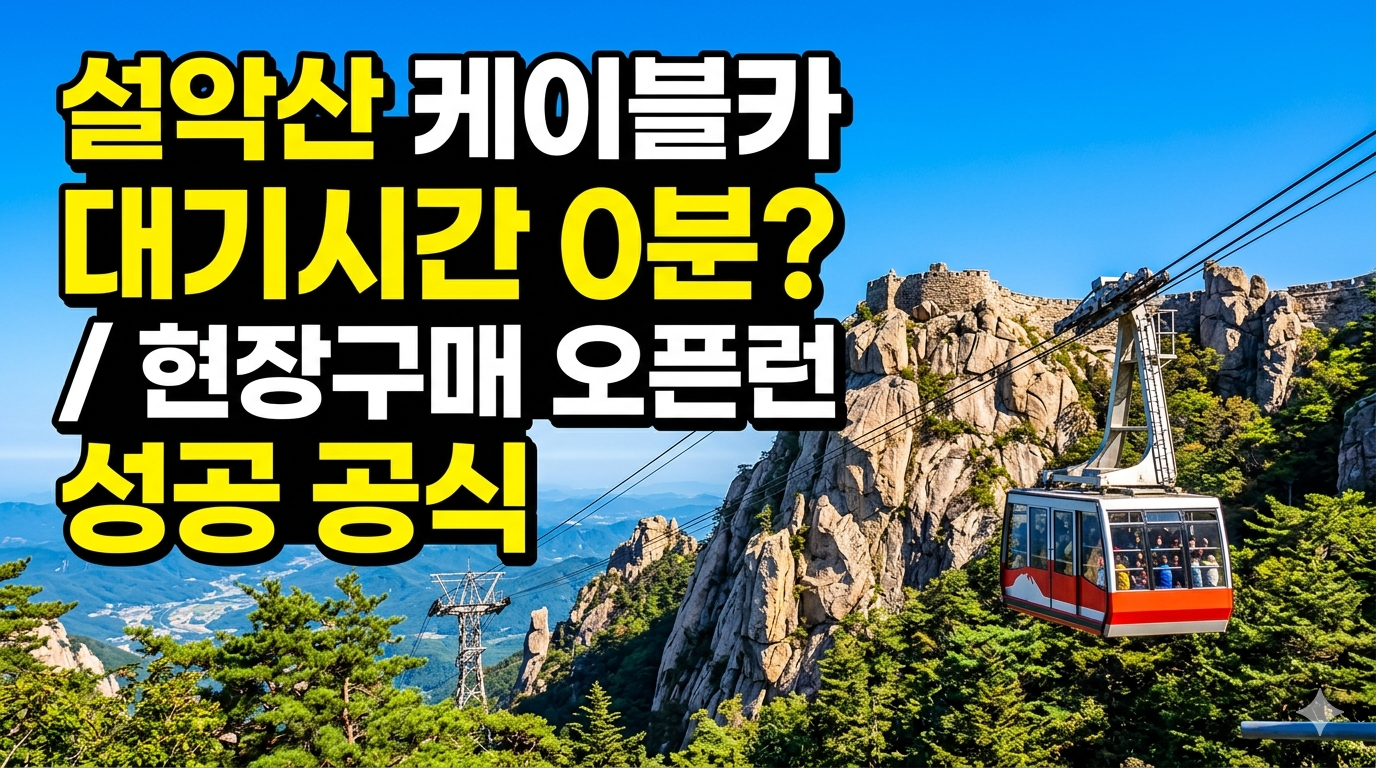 설악산 케이블카 오픈런