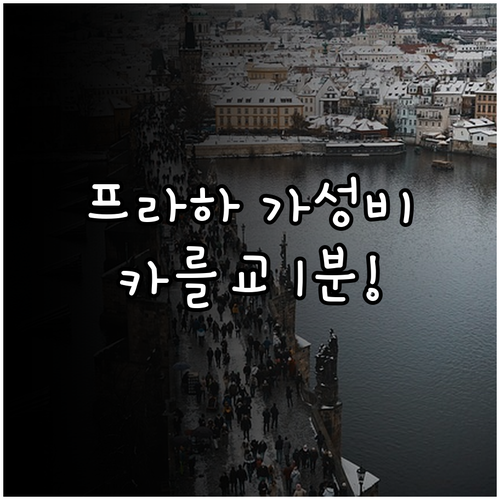 체코 프라하 자유여행 숙소 추천 카를..