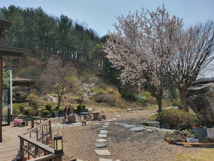 생방송오늘저녁 충남 공주 강아지 고양이 있는 목공체험 농장체험 다육이 화분, 둘레길 걷기, 고구마 캐기 체험 농원 애견 동반 카페 맛집 추천