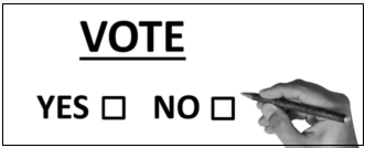 Will you vote?