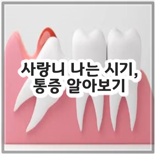 사랑니 나는 시기, 통증 알아보기
