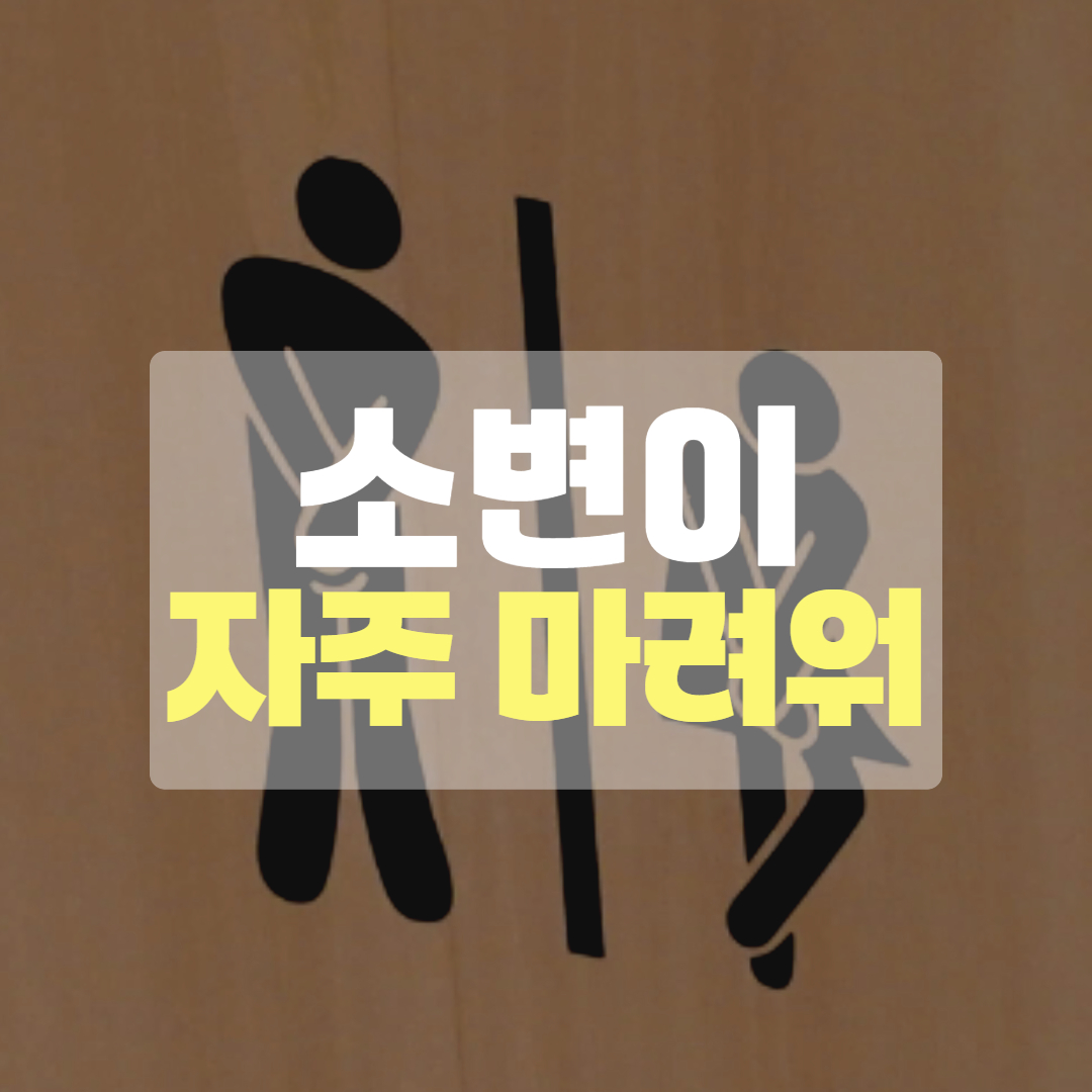 소변이 자주 마려운 증상