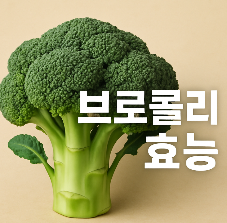 브로콜리 효능