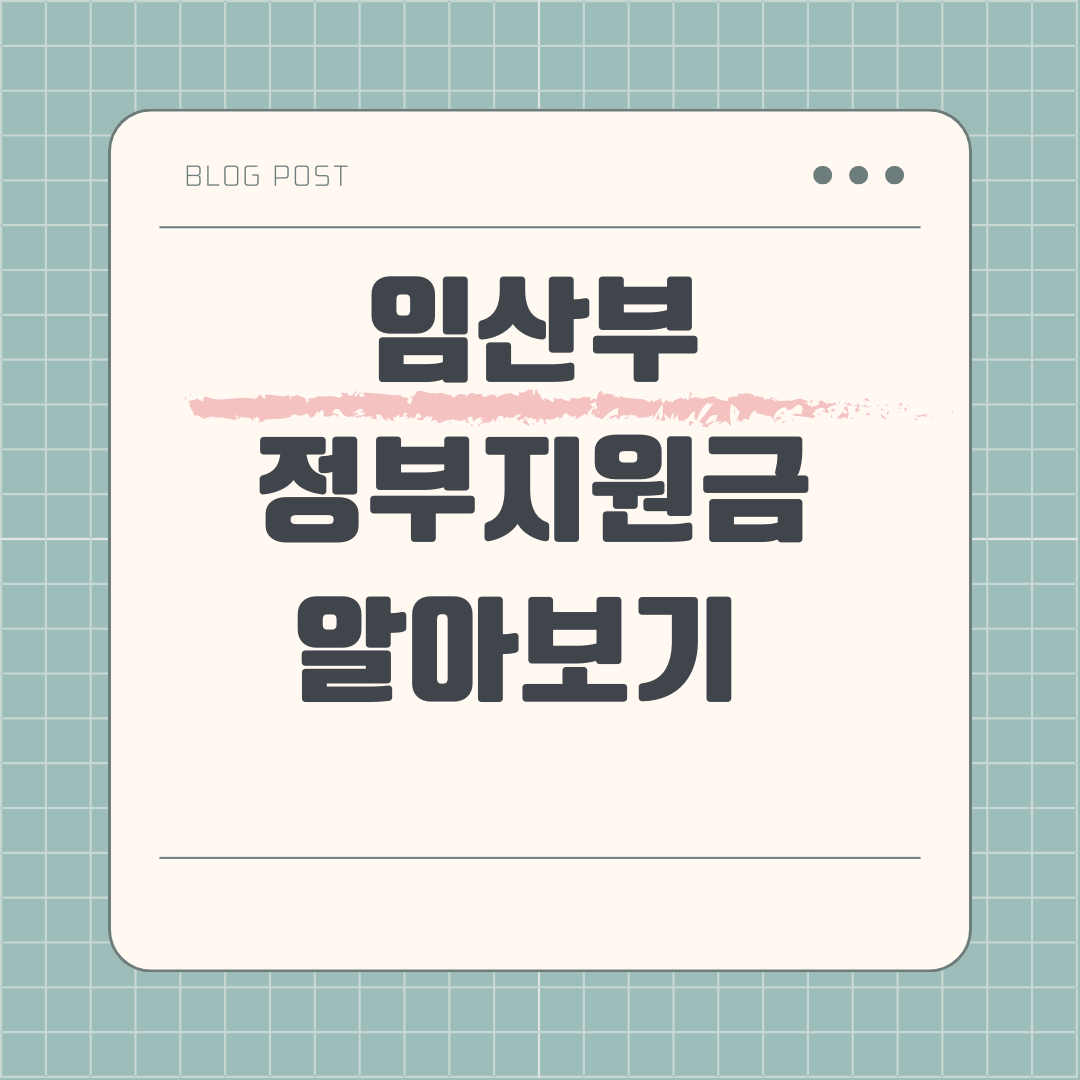 임산부 정부지원금 알아보기