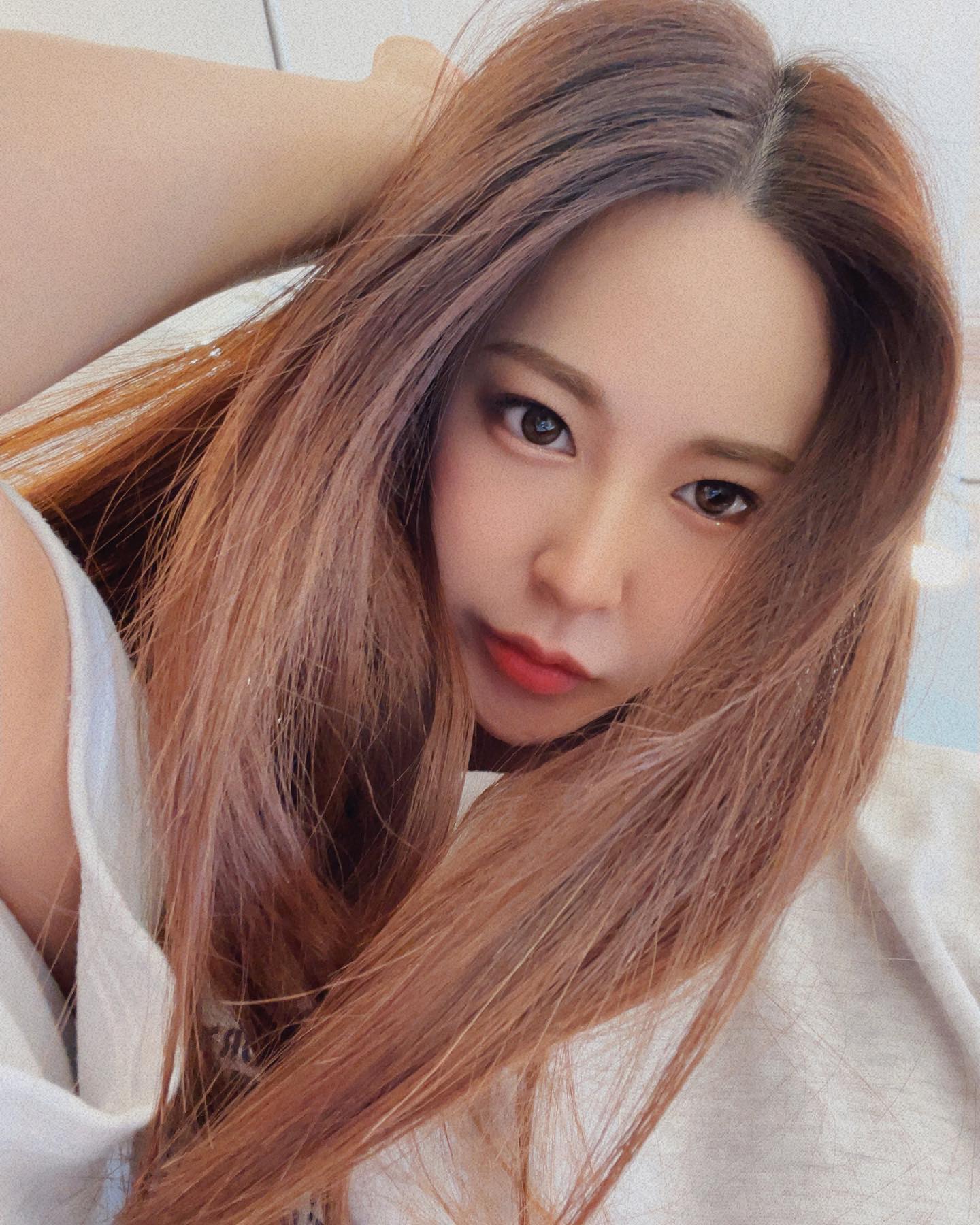 피티니스 모델 이송이