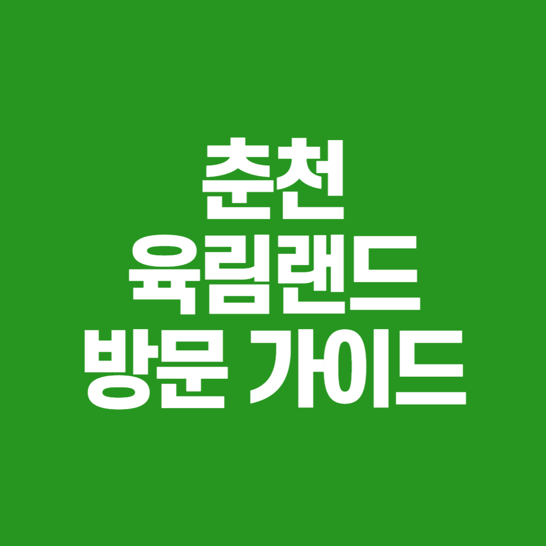 춘천 육림랜드