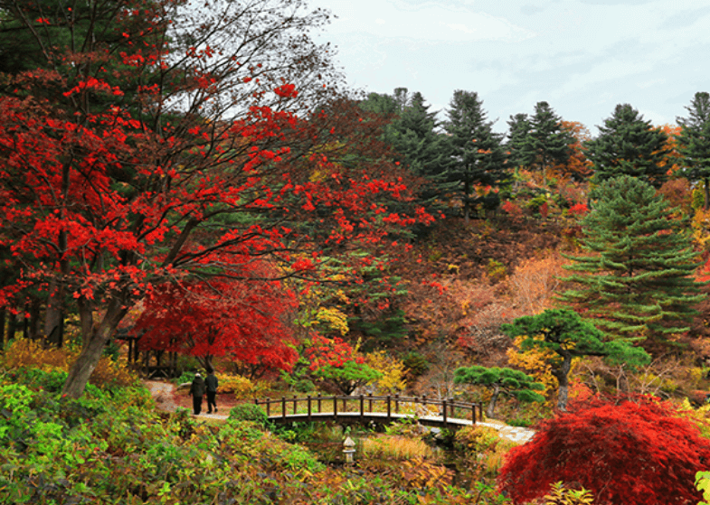 서울근교 단풍명소 추천
