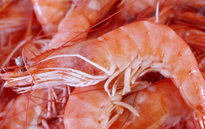 갑각류에 다량 함유된 키토올리고당 성분을 암시하고자 새우 사진을 첨부했습니다.