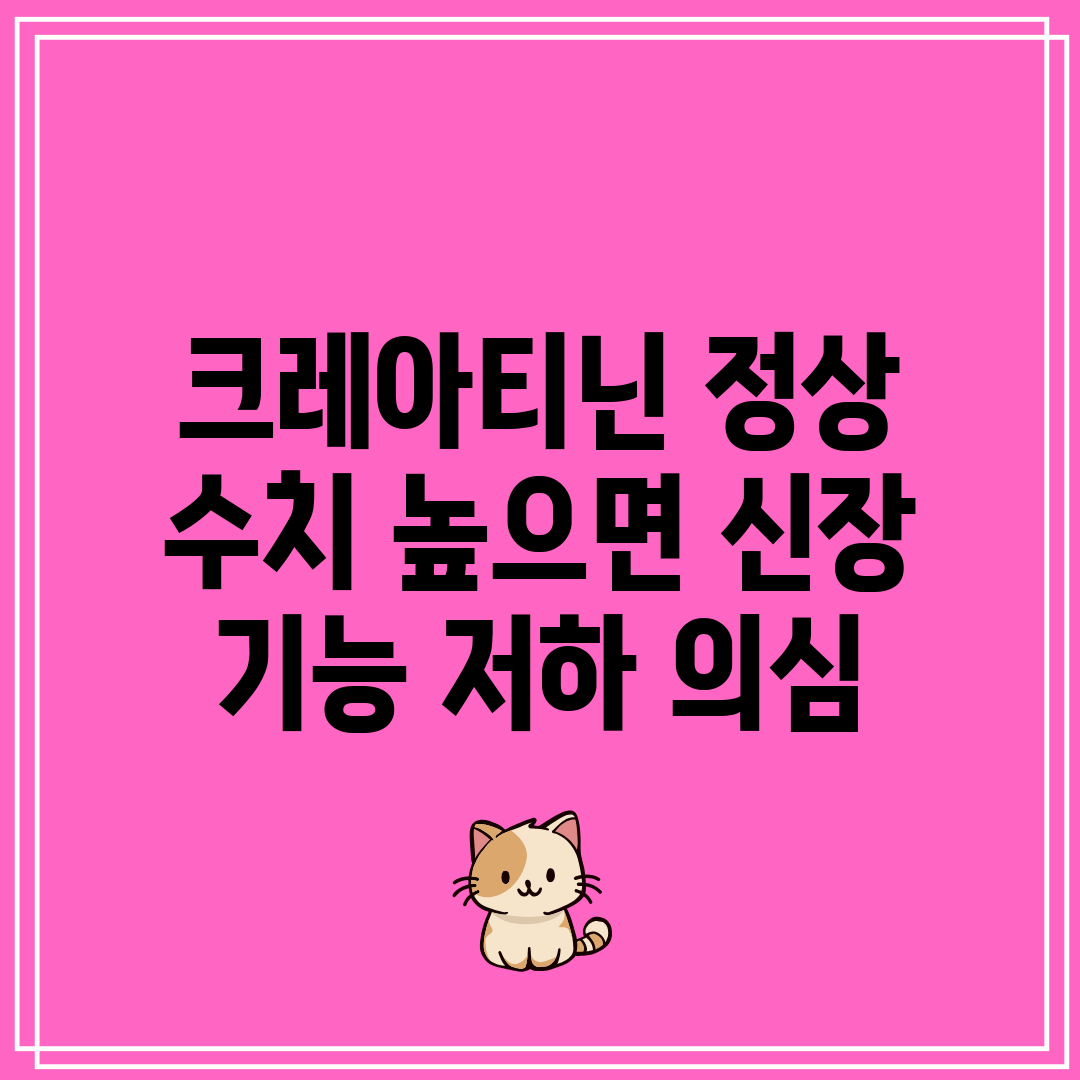 크레아티닌 정상 수치 높으면 신장 기능 저하 의심