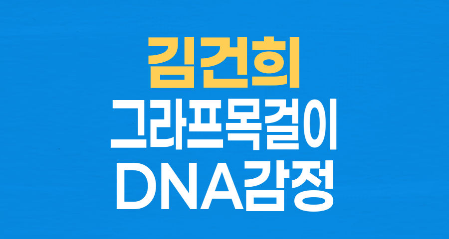 김건희 여사, '그라프 목걸이' DNA 감정 요청… 명백한 수수 부인
