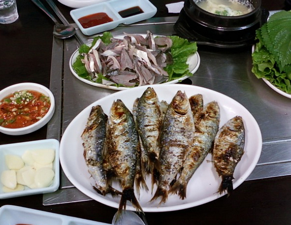 3. 실제 발생 사례로 본 위험성