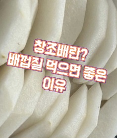 나주-창조배-배껍질-효능