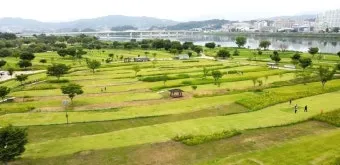 골프 지수 라운딩 시간대 바람 방향 티타임 선택 팁_24