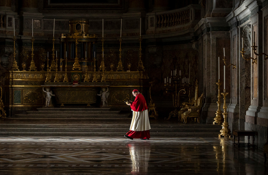 영화 콘클라베 선대 교황의 거북이를 다시 연못으로 데려다 주는 로렌스 추기경