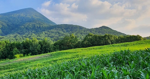 전남 광일목장