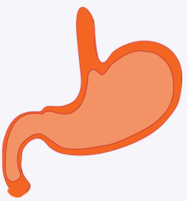 명치 통증 원인