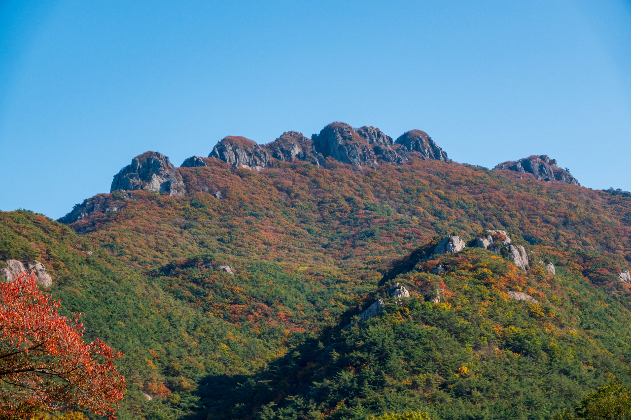 팔영산 등산지도