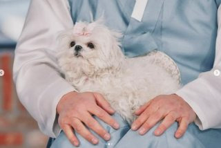 구성환 꽃분이 나이 프로필 사망 나혼산 국토대장정