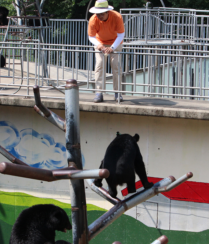2024 베어트리파크 단풍축제 예매