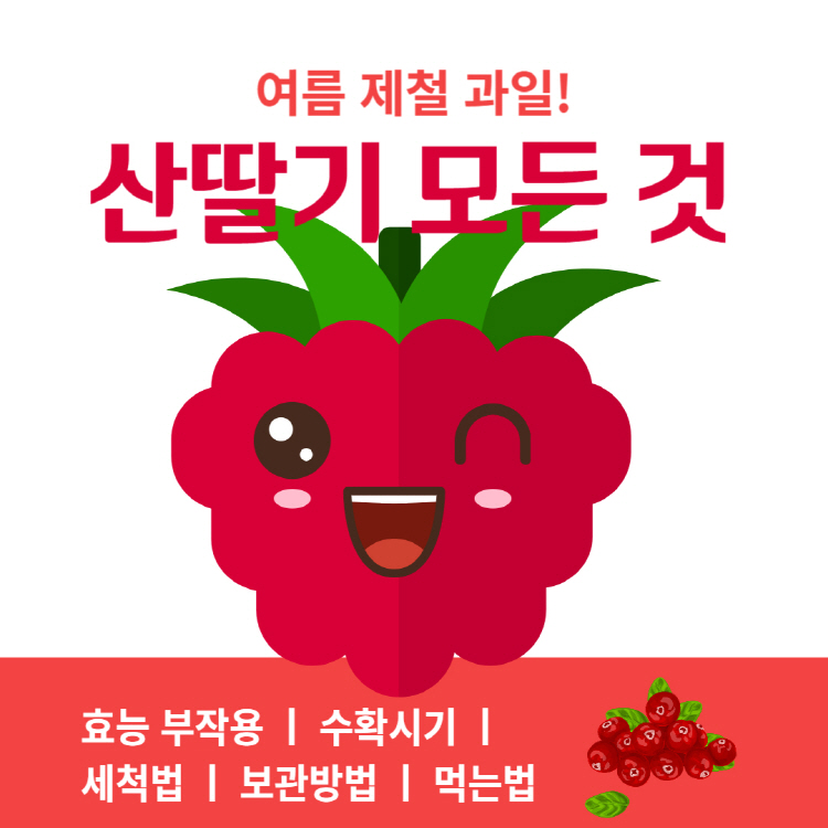 산딸기 효능 부작용 수확시기 세척법 보관방법 완벽정리