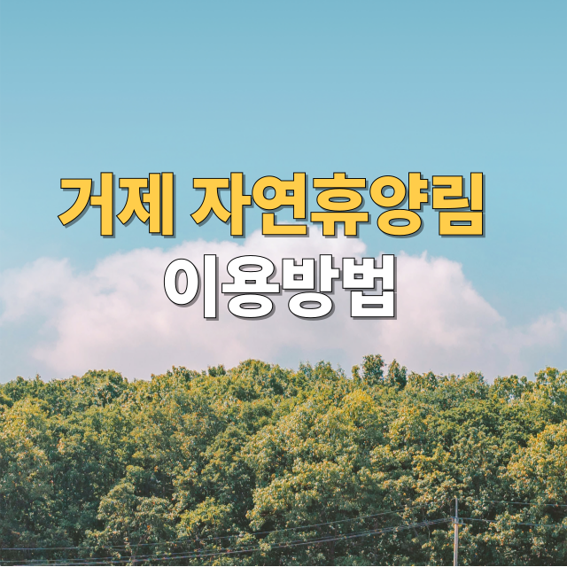 거제자연휴양림 예약 방법, 주차, 맛집, 주변 관광지