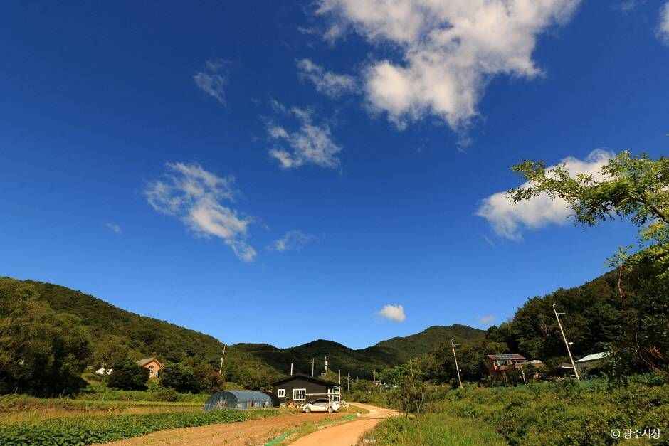 광주 근교 드라이브코스