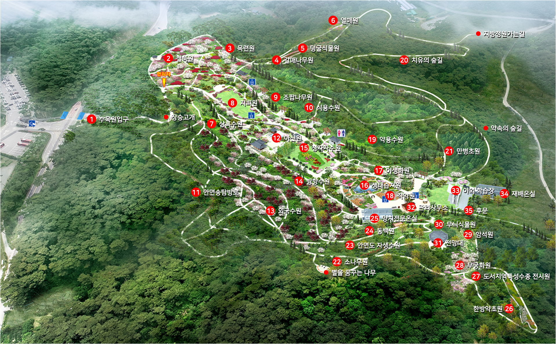 안면도-자연휴양림-지도