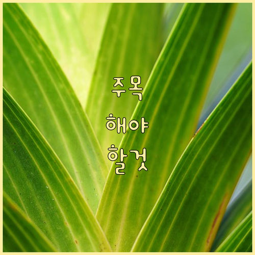 신한은행 대출 심사 기간 궁금증 해결