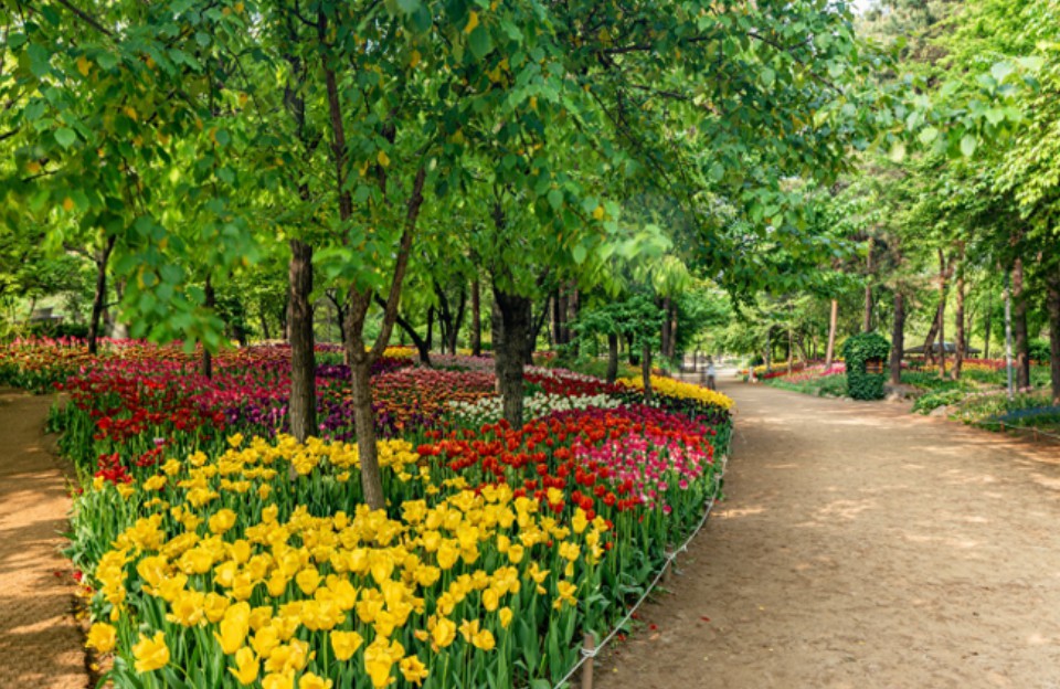 2025 서울가든페스타