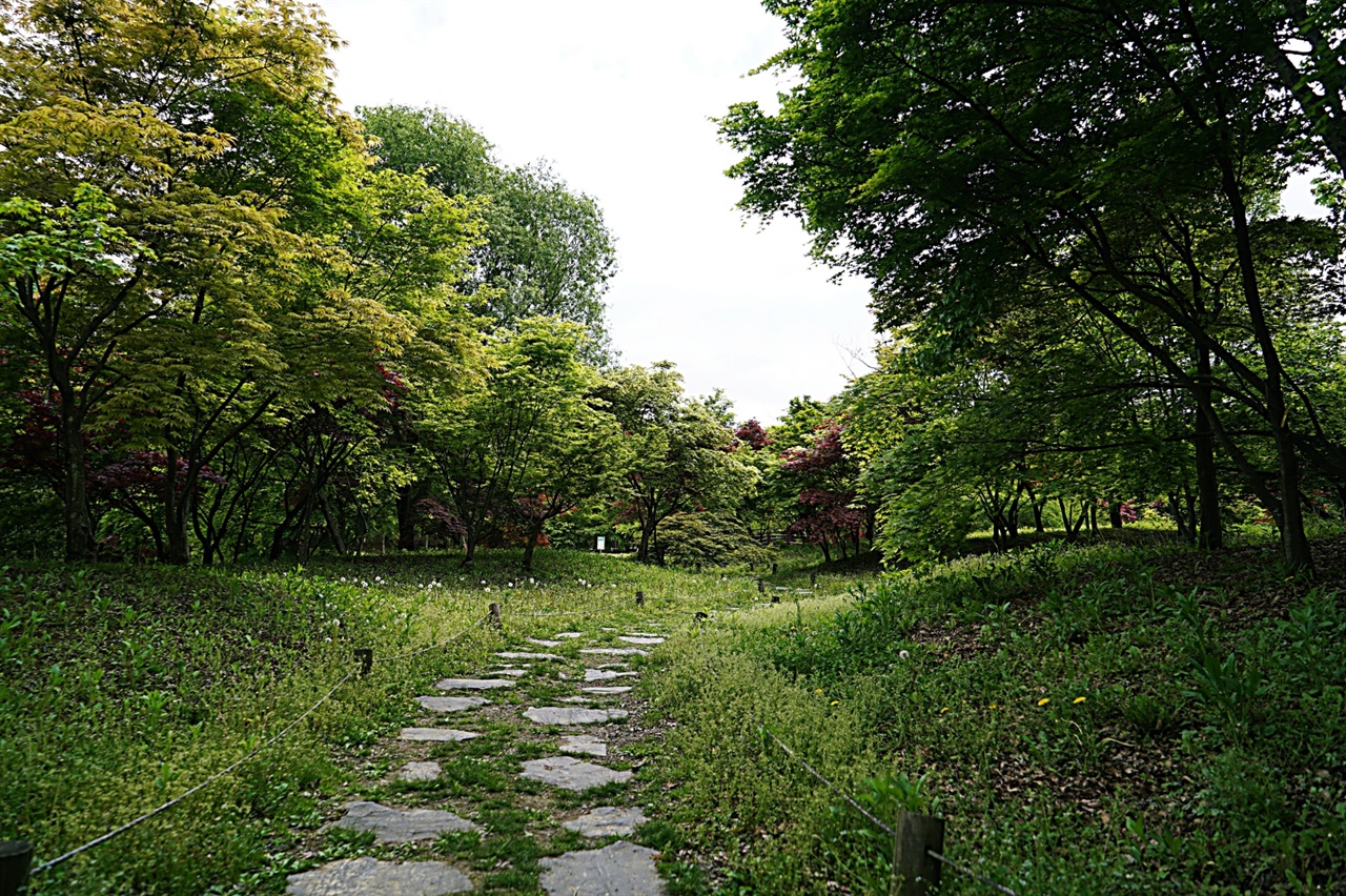오산 가볼만한곳 - 물향기수목원