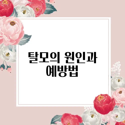 탈모의 원인과 예방법