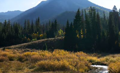 ๊ตญ๋ฆฝ๊ณต์ ์์ฝ