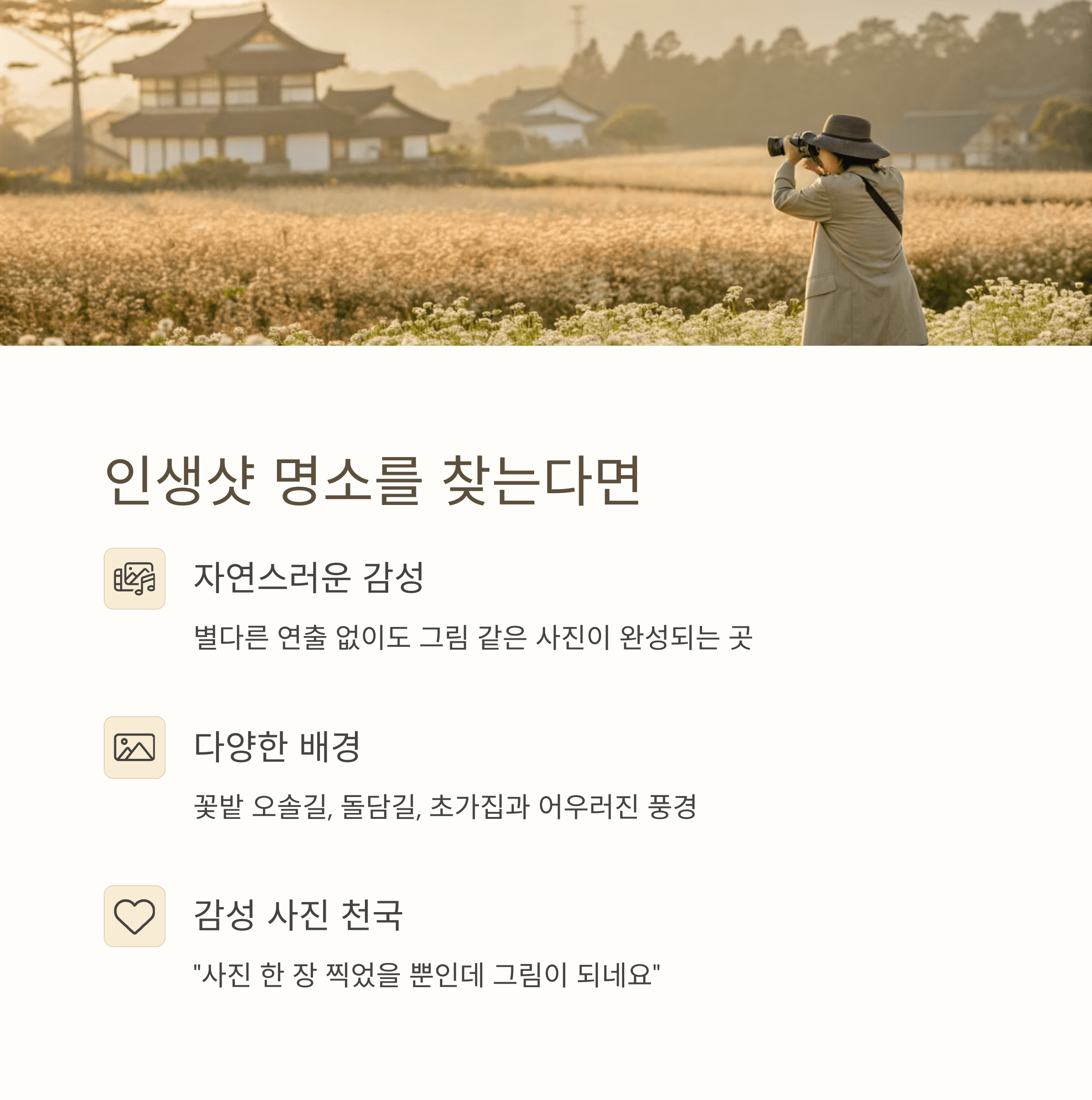 인생샷 명소로 알려진 와흘메밀마을의 감성 사진 배경과 포인트 안내