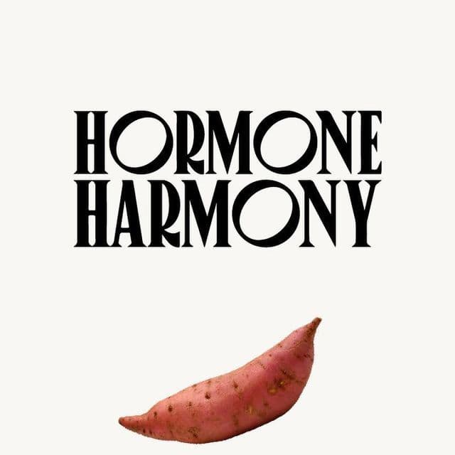 디지털 디톡스와 호르몬 균형: 세로토닌&middot;코르티솔이 들려주는 삶의 리듬