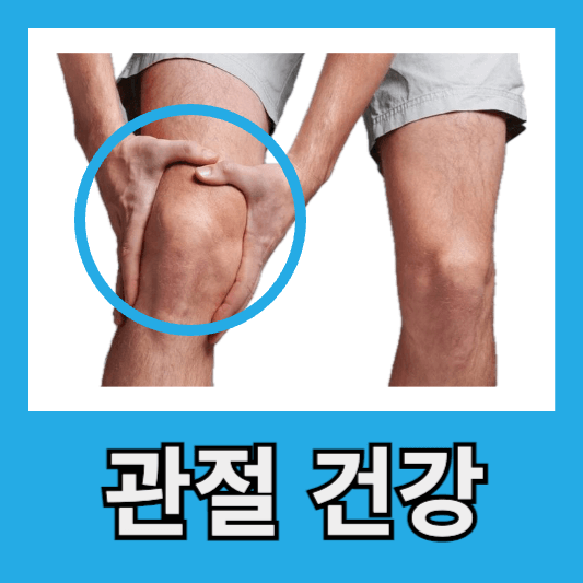 관절 건강 지원