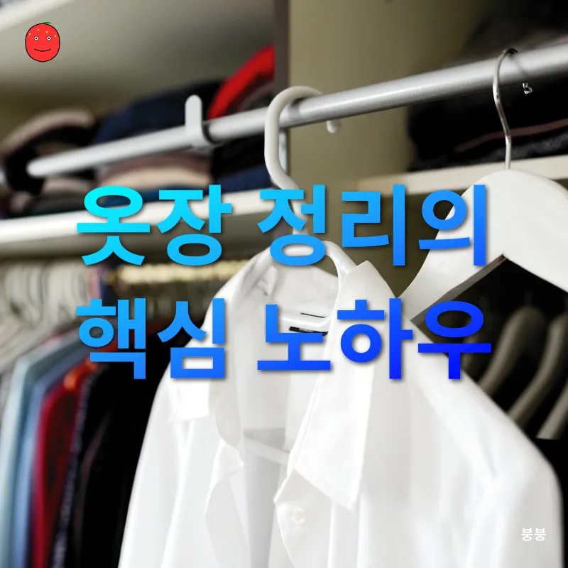 옷장 정리법_2