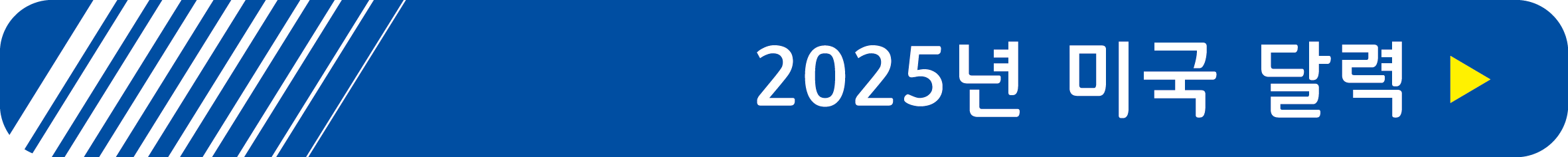 2025년 미국 달력