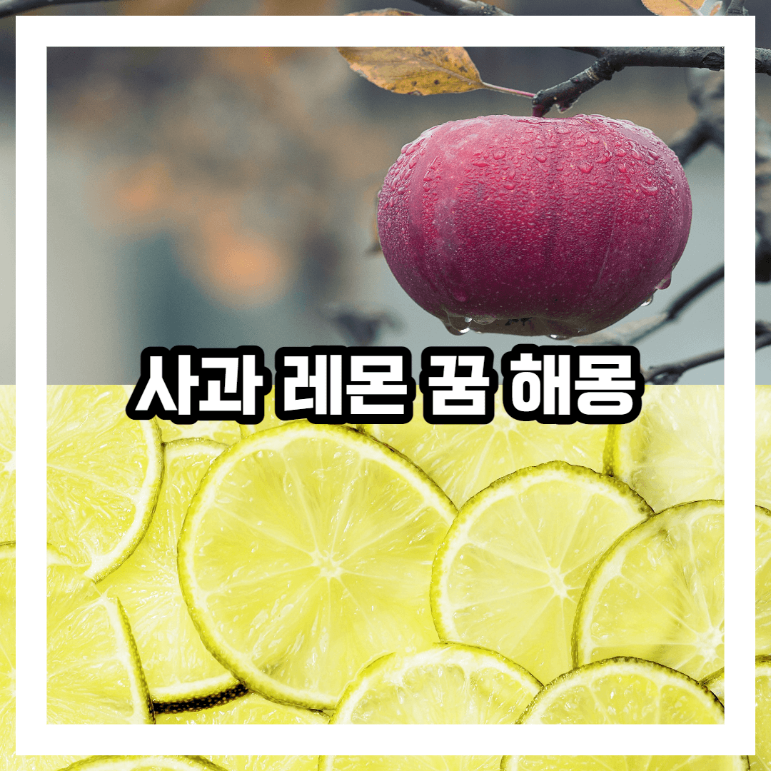 사과 레몬에 관한 꿈 해몽