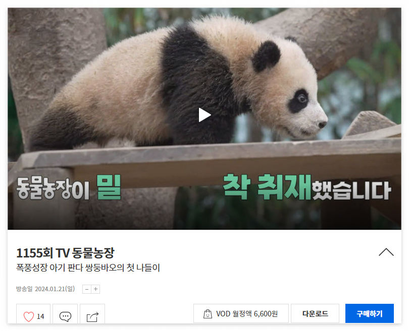 TV동물농장_1155회