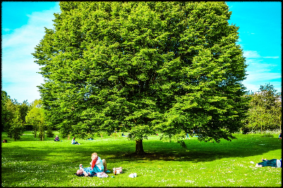중학생을 위한 주말 성장 관리 팁 (스크린타임 줄이기, 실내활동 추천)
