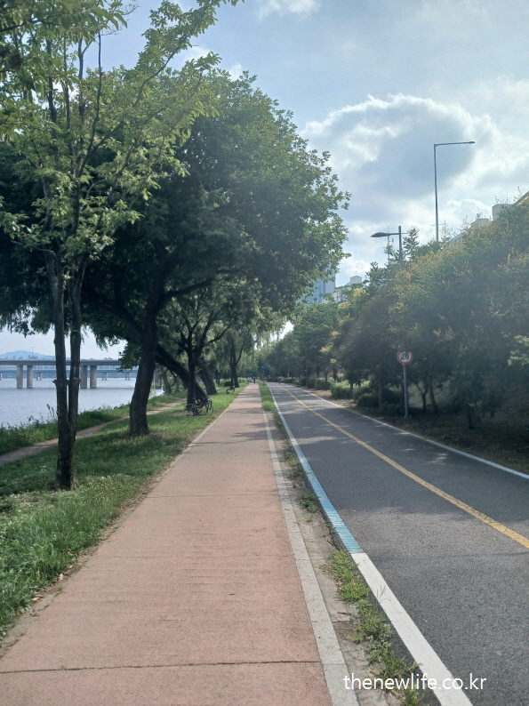 A tree-lined riverside bicycle path on a hot summer day, symbolizing the risk of heatstroke during outdoor activity and highlighting the difference between heatstroke and heat exhaustion./강변 나무길 자전거 도로, 여름철 야외 활동 중 열사병과 일사병의 차이에 대한 경각심을 주는 이미지