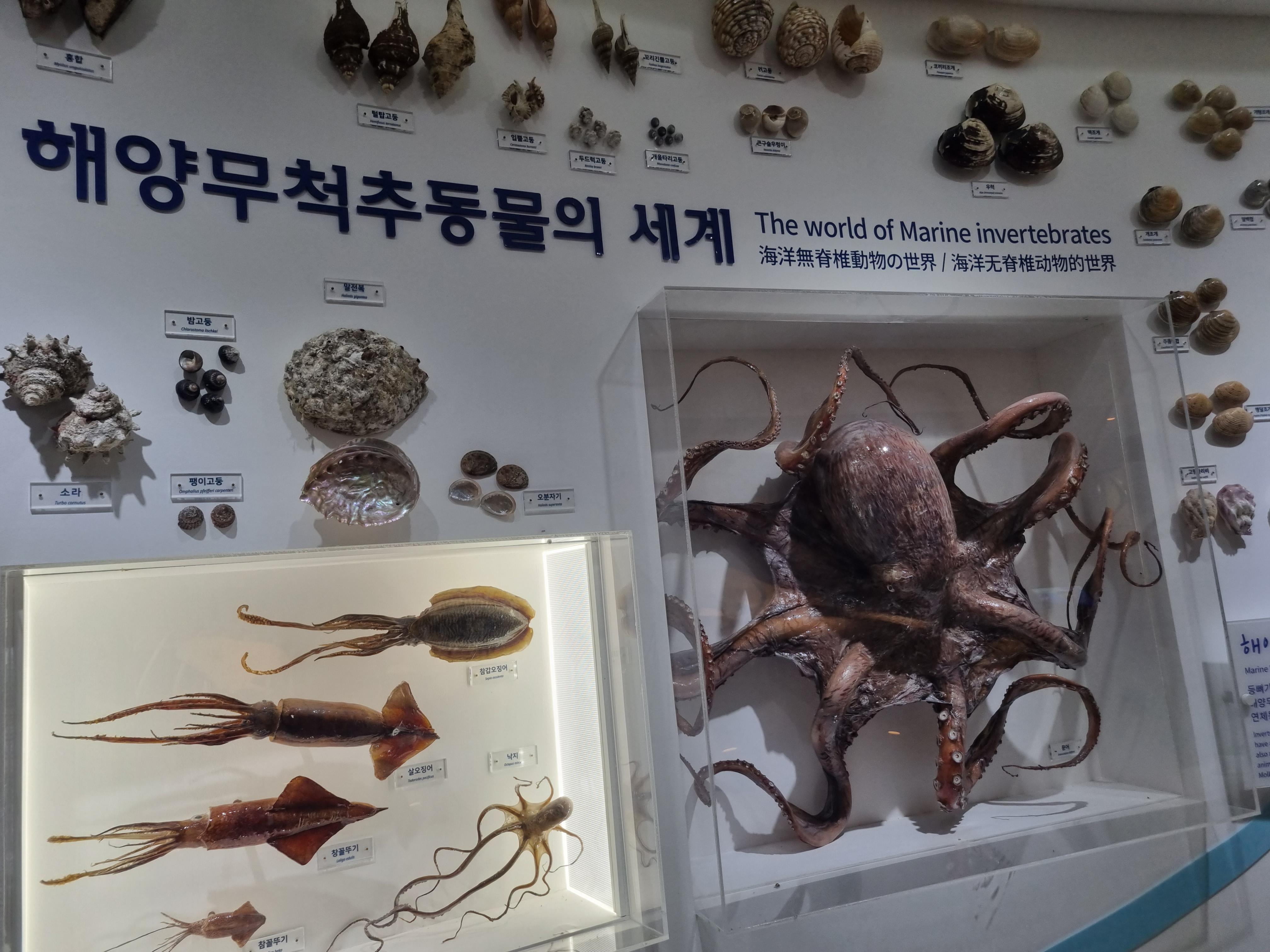 민속자연사박물관