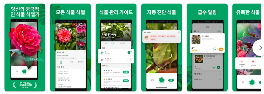 식물 이름 찾기 어플, 어플 다운로드 하고 식물이름 찾기