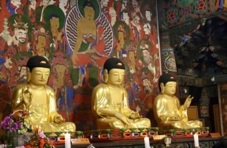 동화사 위치 역사 의미 정리