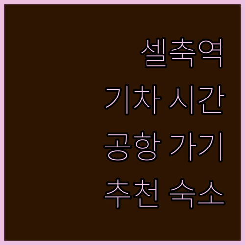 셀축역에서 이즈미르 공항 기차 시간표..