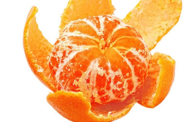 귤껍질 일반쓰레기