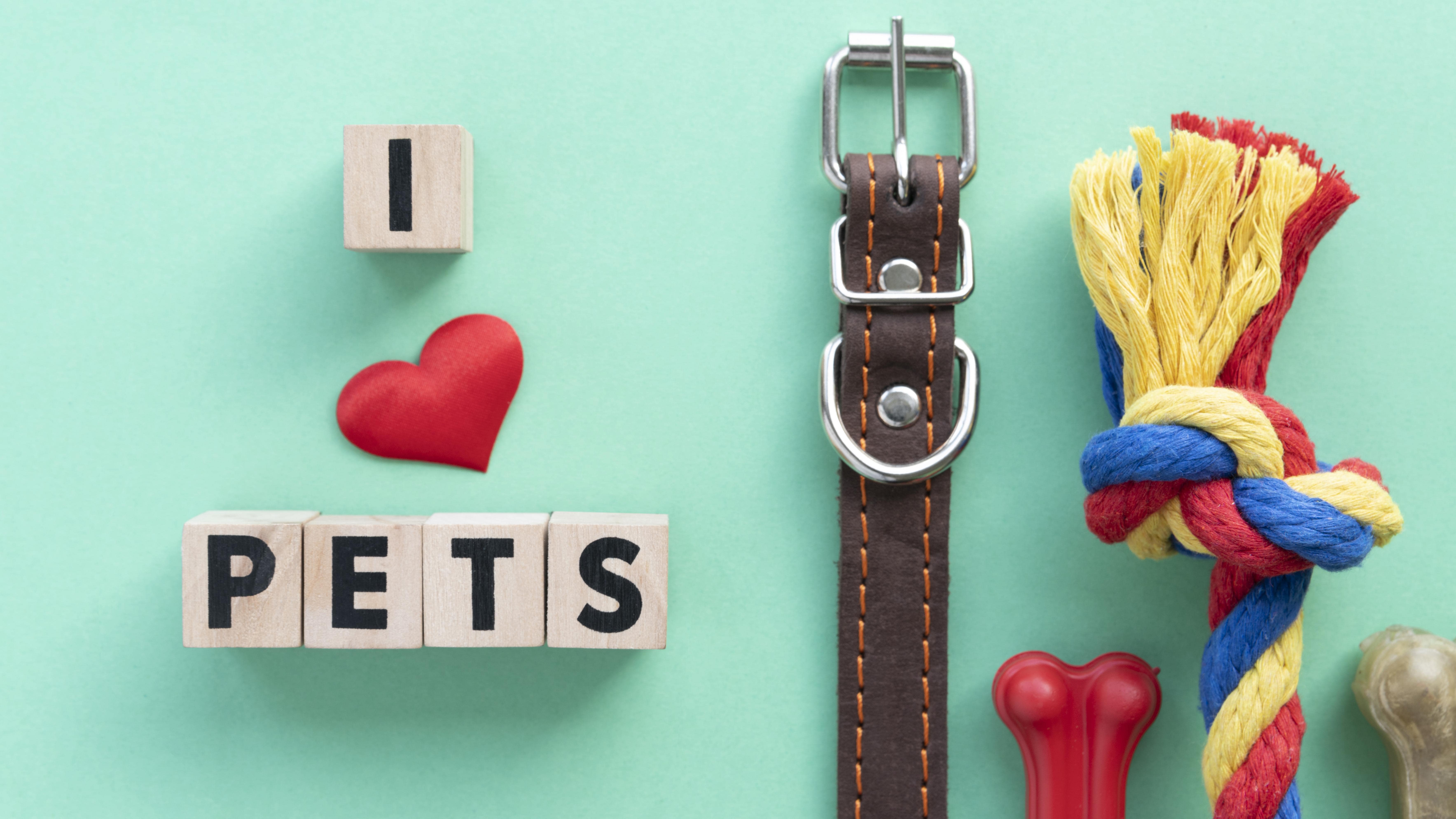 2024 부산캣쇼 사전 등록 신청하고 무료 입장하기(11/29~12/01)