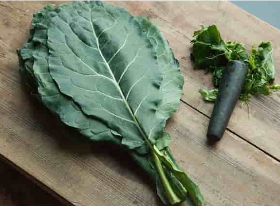 중성지방 낮추는 음식